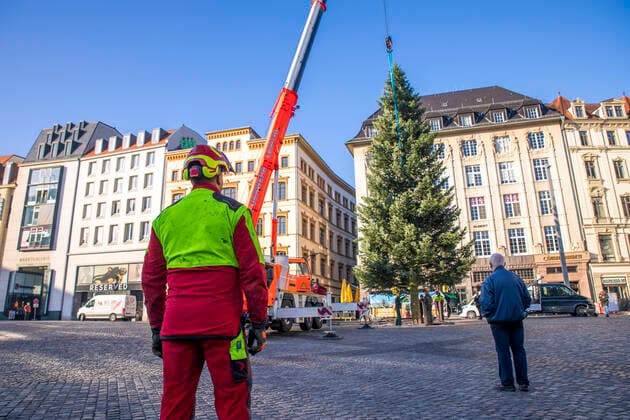 Bilder des Jahres 2020, News 11 November News Themen der Woche KW45 News Bilder des Tages Trotz Absage des Leipziger Weihnachtsmarktes im Jahr 2020, wurde am Morgen des 5. November 2020 eine aus dem Vogtland stammende Douglasie auf dem Leipziger Markt aufgestellt. Mit Hilfe der Feuerwehr und ihrem Kran konnte eine Spezialfirma den Baum erfolgreich aufstellen.