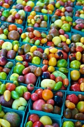 September 28, 2014, New York, New York, United States: Heirloom tomatoes. .An heirloom tomato is generally considered to be a tomato variety that has been passed down through several generations of family. Is an open-pollinated (non-hybrid) heirloom cultivar of tomato. Heirloom tomatoes have become increasingly popular and more readily available in recent years. New York United States - ZUMAc94_ 20140928_zap_c94_058 Copyright: xKikexCalvox