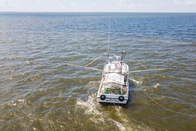 September 16, 2018, St. Petersburg, Florida, USA: A shrimp boat contracted by Pinellas County collects dead fish in it s nets before reaching the beach. .Tens of thousands of dead fish and crustaceans have washed up on Madeira Beach in Pinellas County Sunday afternoon. Levels of red tide algae are testing extremely high on the waters of Pinellas county. Contractors on boats attempt to collect the dead fish before reaching the beaches but cannot keep up with the tons of fish washing ashore. St. Petersburg USA - ZUMAs70_ 20180916_zan_s70_106 Copyright: xLuisxSantanaxx xxTimesx