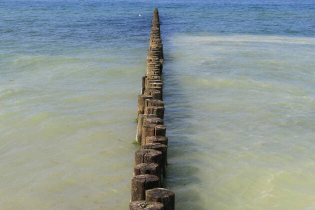 Blick am Freitag (19.05.2017) im Ostseeheilbad Zingst (Landkreis Vorpommern Rügen) auf Buhnen am örtlichen Strand.