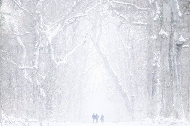 Bilder des Jahres 2021, News 02 Februar News Themen der Woche KW05 News Bilder des Tages Drei Personen laufen in einem verschneiten Wald in Berlin, 07.02.2021. Berlin Deutschland