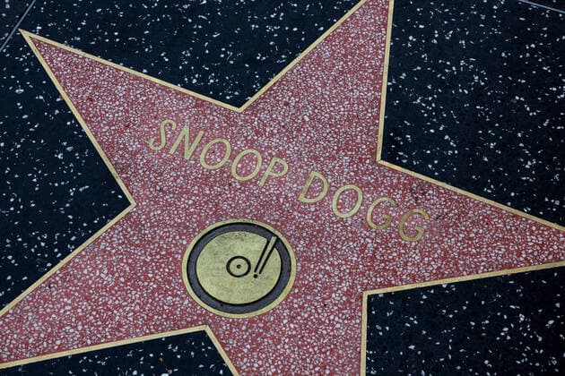 Hollywood Walk of Fame USA, United States of America, California, Los Angeles, 17.02.2020: Hollywood Boulevard, in den Gehweg sind rund 2700 Sterne eingelassen. Es werden Prominente geehrt, die eine wichtige Rolle in der amerikanischen Unterhaltungsindustrie spielten oder noch spielen. Kategorie Recording (Musikaufnahmen). Stern für Snoop Dogg