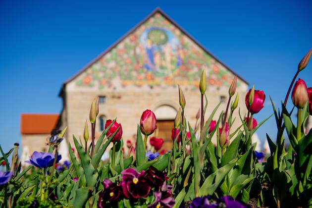 Bilder des Jahres 2021, News 04 April News Themen der Woche KW16 News Bilder des Tages Erfurt , 23.04.2021 , BUGA Erfurt 2021 , Die BUGA 2021 ist offiziell eröffnet Im Bild: BUGA2021, Neue Zierpflanzen auf dem Vorplatz der Peterskirche