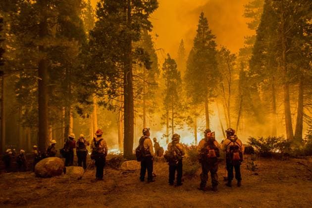 August 26, 2021, Strawberry, California, United States: Firefighters stand by flames at the Caldor fire after starting a Backfire..The Caldor fire has grown to over 130,000 acres and threatens to grow to the Tahoe basin. These images where taken at a backfire set by crews in an effort to gain control on the Caldor fire. Cause still unknown at this time. Strawberry United States - ZUMAs197 20210826_zaa_s197_275 Copyright: xTyxO Neilx