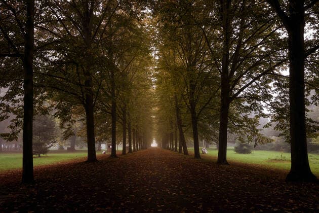 Herbstfarben im Schlosspark Koeln-Stammheim Herbstfarben im Schlosspark Koeln-Stammheim Koeln Schlosspark Stammheim NRW Deutschland Copyright: xBSxPressefoto B.Hoffmannx