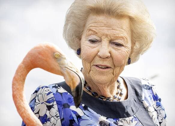 Bilder des Jahres 2021, Entertainment 11 November Entertainment Themen der Woche KW47 Entertainment Bilder des Tages SINT MICHIEL - On the second day of a three-day working visit to Curacao, Princess Beatrix, together with students from the St. Margaretha school, visits the salt pans, where a flamingo (Oscar) is being worked out. The working visit was mainly devoted to nature conservation and the effects of the corona pandemic. ANP ROYAL IMAGES KOEN VAN WEEL Copyright: xANPx xxANPx x441201581x