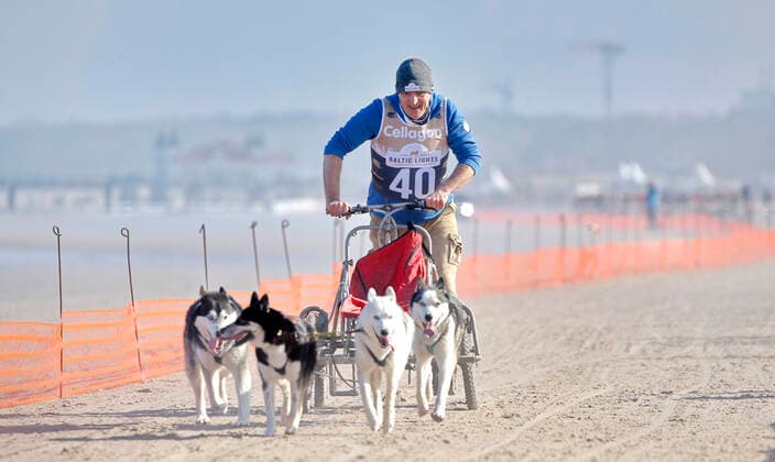 Andreas Hoppe Baltic Lights Schlittenhunderennen am 11. März 2017 am Strand von Heringsdorf