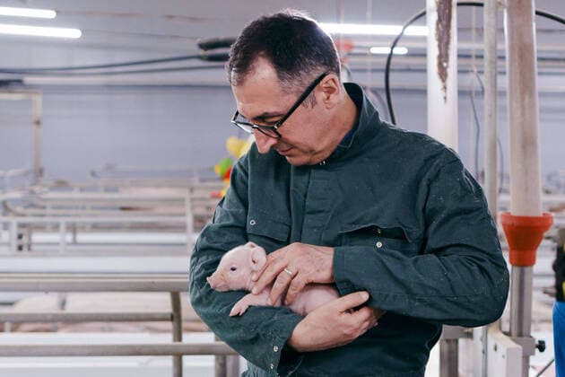 Bilder des Jahres 2022, News 04 April News Themen der Woche KW15 News Bilder des Tages Cem Oezdemir (Buendnis 90 Die Gruenen), Bundesminister fuer Landwirtschaft und Ernaehrung, haelt im Abferkelstall des Schweinehaltungsbetrieb von Jan-Hendrik Hohls ein Ferkel auf dem Arm. Bergen, 13.04.2022. Bergen Germany Copyright: xThomasxTrutschelx
