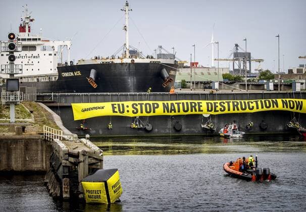 Bilder des Jahres 2022, News 05 Mai News Bilder des Tages 2022-05-11 10:51:57 IJMUIDEN - Activists from Europe and Brazil, together with Greenpeace Netherlands, have blocked the Noordersluis in IJmuiden. As a result, a 225 meter long ship, the Crimson Ace, is now stuck in the lock. The Crimson Ace has 60 million kilos of soy from Brazil on board. KOEN VAN WEEL netherlands out - belgium out