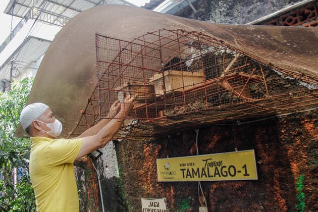 September 22, 2022, Bandung, West Java, Indonesia: A farmer harvest trigona itama bee in urban areas in Bandung. The Tamalago Forest Farmers Group (KTH) innovates to make the cultivation of Trigona bees in urban areas (Urban Bee) capable of producing 2 kilograms of honey per two months. In addition to the consumption of local residents, the honey is marketed to various regions in West Java at a price of $4 to $12 depending on size. Bandung Indonesia - ZUMAs281 20220922_zip_s281_007 Copyright: xAlgixFebrixSugitax