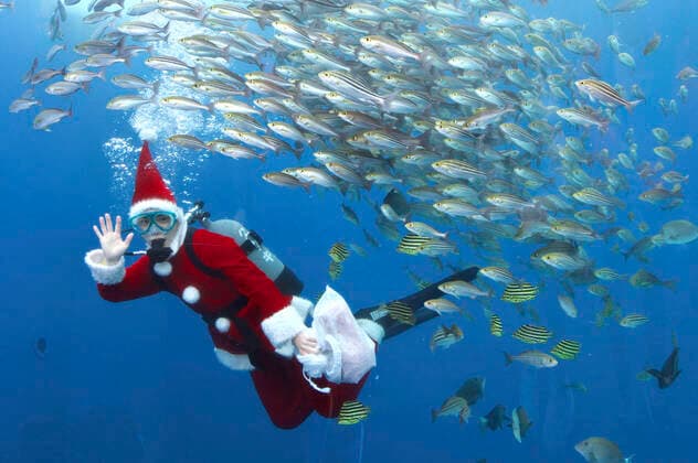 Bilder des Jahres 2022, Entertainment 12 Dezember Entertainment Themen der Woche KW50 Entertainment Bilder des Tages Ein Taucher im Weihnachtsmann-Kostüm schwimmt mit Fischen in einem großen Becken während einer Unterwasser-Performance für die bevorstehende Weihnachtsfeier im Hakkeijima Sea Paradise. Yokohama, 17.12.2022
