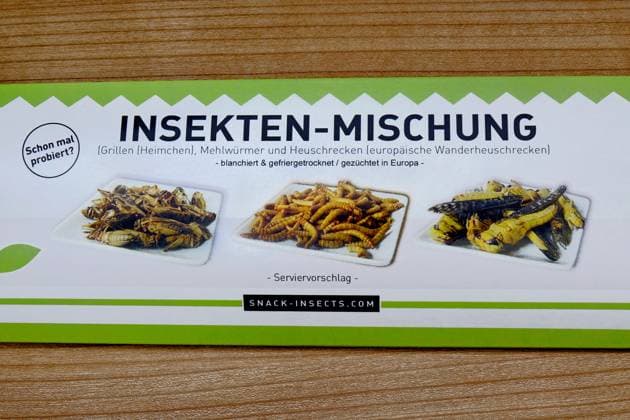 essbare Insekten essbare Insekten, 27.01.2023, Borkwalde, Brandenburg, In einer Verpackung befinden sich essbare Insekten.