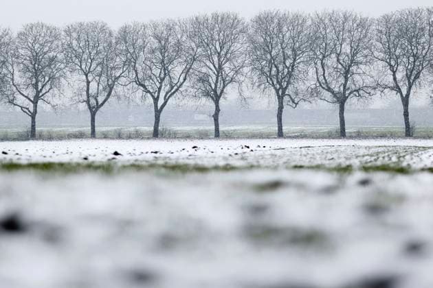 Schneefall um Köln führt zu Unfällen und Stau: Am Mittwoch erlebte das Rheinland einen Wintereinbruch mit Schnee und Glätte. Im Bild ein verschneites Feld mit einer Allee kahler Bäume. (Themenbild, Symbolbild) Köln, 08.03.2023 NRW Deutschland Copyright: xChristophxHardtx