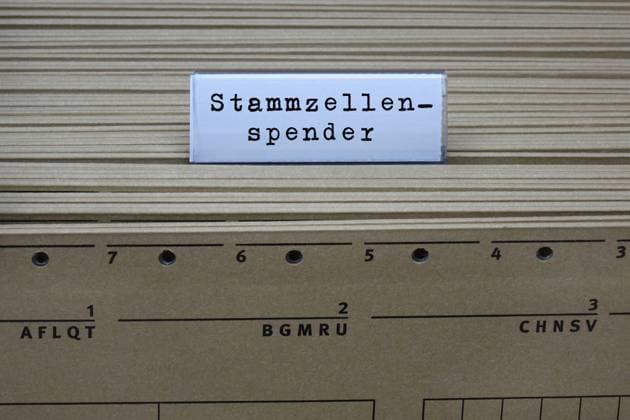 Hängeregister und Stammzellenspender Hängeregister und Stammzellenspender, 09.05.2023, Borkwalde, Brandenburg, An einem Hängeregister steht der Schriftzug Stammzellenspender.