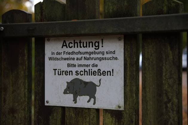 Warnung vor Wildschweinen an der Eingangstür des Wilmersdorfer Waldfriedhofs in Stahnsdorf, Landkreis Potsdam-Mittelmark, Land Brandenburg, Deutschland, Europa Copyright: imageBROKER StephanxLaude ibxssl08514503.jpg