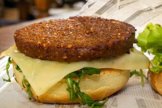 Nahaufnahme von einem Insektenburger. Für 12,90 Euro können Besucherinnen und Besucher der BUGA (Bundesgartenschau) in Mannheim einen solchen Burger bestellen