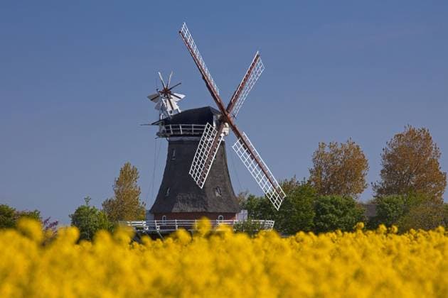Windmühle in Oldsum auf der Insel Föhr, Nordfriesland, Deutschland, Europa
