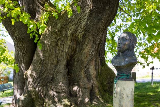 Büste der Pianistin Clara Schumann an der Schmorsdorfer Linde, hsitorische Sommerlinde (Tilia platyphyllos), geschätztes Alter 350-500 Jahre, im Ortskern von Schmorsdorf, Müglitztal, Sachsen, Deutschland