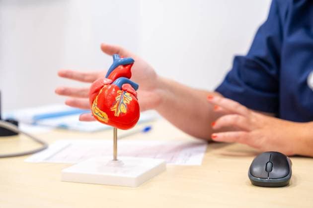 Nahaufnahme eines nicht zu erkennenden Kardiologen, der einem Patienten anhand eines Herzmodells etwas erklärt