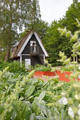 Kräutergarten im Sofiero Palace & Gardens, Helsingborg, Provinz Skane län, Schweden, Europa Copyright: imageBROKER MartinaxKatz ibxcxb10022540.jpg