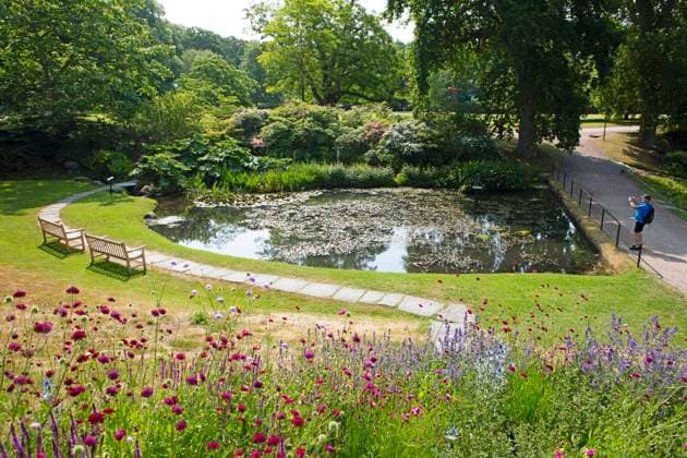 Sofiero Palace & Gardens, Helsingborg, Provinz Skane län, Schweden, Europa Copyright: imageBROKER MartinaxKatz ibxcxb10022542.jpg