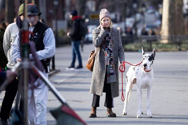 Bilder des Jahres 2024, Entertainment 02 Februar Entertainment Themen der Woche KW06 Entertainment Bilder des Tages Naomi Watts mit Dogge Bing bei Dreharbeiten zum Kinofilm The Friend im Washington Square. New York, 08.02.2024