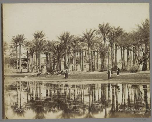 RECORD DATE NOT STATED Men with goats under palms on the water, Maison Bonfils, c. 1895 - in or before 1905 photograph Part of Reisalbum with photos of sights in Greece and Egypt. Cairo paper. photographic support albumen print trees: palm-tree. oasis. goat. herding, herdsman, herdswoman, shepherd, shepherdess, cowherd, etc. Cairo Copyright: xpiemagsx rknbpie11012024-21156 !ACHTUNG AUFNAHMEDATUM GESCHÄTZT!