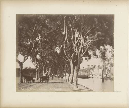 RECORD DATE NOT STATED Horses and cars on the Avenue de Geireh in Cairo, Maison Bonfils, c. 1870 - c. 1898 photograph Part of travel album with 80 photos from Egypt. Cairo cardboard. paper. photographic support albumen print avenue, boulevard, promenade, esplanade (+ city(-scape) with figures, staffage) Cairo Copyright: xpiemagsx rknbpie11012024-22329 !ACHTUNG AUFNAHMEDATUM GESCHÄTZT!
