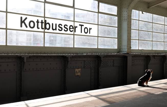 08.03.2024, Berlin - Deutschland. Ein Hund wartet am U-Bahnhof Kottbusser Tor. Worauf, ist unklar.