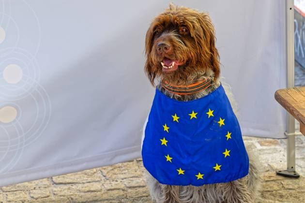 Europa. Unter dem Motto , Wir sind Europa , fand der Bayerische Europatag 2024 in Regensburg statt. Regensburg Bayern Deutschland Copyright: xRolfxPossx