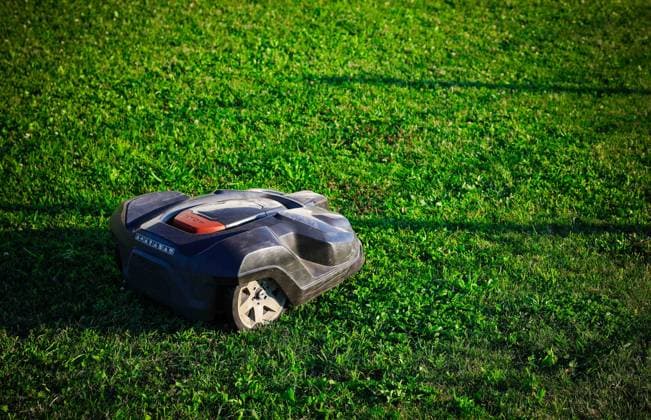 29.07.2024, Schalchen, AUT, Unterwegs in Oberösterreich, Symbolbild, Themenbild, Verschiedene Themenbilder, Rasenmäher, im Bild Mähroboter auf einem Rasen, Mähroboter, Schalchen,