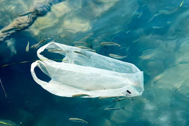 Plastiktüte treibt im Meer und zeigt die verheerenden Auswirkungen von Umweltverschmutzung auf die Meeresfauna. Plastikmüll ist eine große Bedrohung für die Ozeane und ihre Bewohner