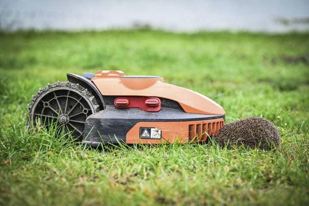 RECORD DATE NOT STATED Haus der Igel in Krefeld ** NUR FÜR REDAKTIONELLE ZWECKE ** EDITORIAL USE ONLY **<p>ein Igel sitzt gegenüber einem Mähroboter vor dem Haus der Igel in Krefeld am Mittwoch, 2. Oktober 2024. Den Igeln geht es immer schlechter. Neben den Gefahren durch Mähroboter und Co. bringt der Klimawandel den Rhythmus der heimischen Wildtiere durcheinander. Besuch bei Haus der Igel in Krefeld. Krefeld Copyright: SvenjaxHanusch