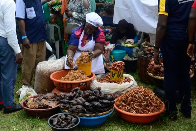 2024 World Food Day In Lagos, Nigeria A woman measures crayfish as the Lagos State Ministry of Agriculture and Food Systems concludes activities marking the 2024 World Food Day, tagged Eko World Food Day, with a fair and parade of produce by farmers from different local government areas of the state at Police College in Ikeja, Lagos, Nigeria, on October 16, 2024. Ikeja Nigeria  Copyright: xAdekunlexAjayix originalFilename: ajayi-notitle241016_npUck.jpg