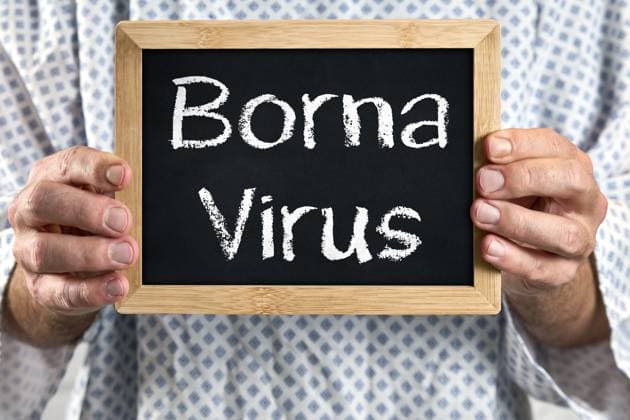 Bornavirus, Erkrankter Patient im Patientenkittel mit Schild. Symbolbild für Borna-Krankheit bzw. Erkrankung - Virus und Krankheit, sowie Symptome.