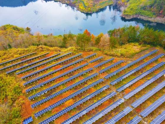 Barren Mountain PV Generation Rows of photovoltaic panels are installed on a barren hill in Pingjing village in Anqing, China, on November 16, 2024. Anqing Anhui China  Copyright: xCFOTOx originalFilename: cfoto-barrenmo241116_nptmm.jpg