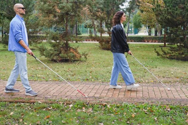 Two blind individuals use canes to navigate a park path surrounded by trees and green grass. They walk confidently, showcasing independence and mobility outdoors. Model Released NinaGili_ID25355_733172_032 Copyright: xNinaxGilix