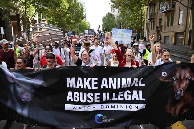 MELBOURNE ANIMAL RIGHTS MARCH, Demonstrators during an animal rights march calling for the closure of slaughterhouses in Melbourne, Friday, March 28, 2025. ( NO ARCHIVING, EDITORIAL USE ONLY, NO USE IN BOOKS WITHOUT CONSENT MELBOURNE VICTORIA AUSTRALIA  Copyright: xJOELxCARRETTx 20250328122976725480