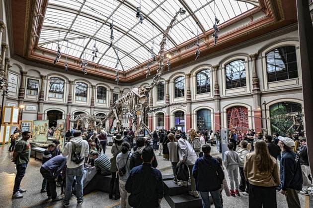 Internationaler Museumstag in Berlin - Naturkundemuseum ** NUR FÜR REDAKTIONELLE ZWECKE ** EDITORIAL USE ONLY **<p>Internationaler Museumstag in Berlin - Besucher gehen durch das Naturkundemuseum, fotografiert am 18. Mai 2025 in Berlin. Berlin Berlin Berlin Copyright: MaurizioxGambarini