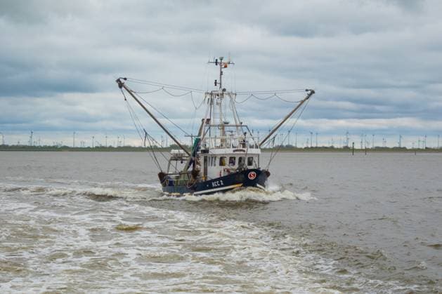 Der Fischkutter ACC2 fährt vor der ostfriesischen Küste im Wattenmeer bei Baltrum, Niedersachsen, Deutschland.