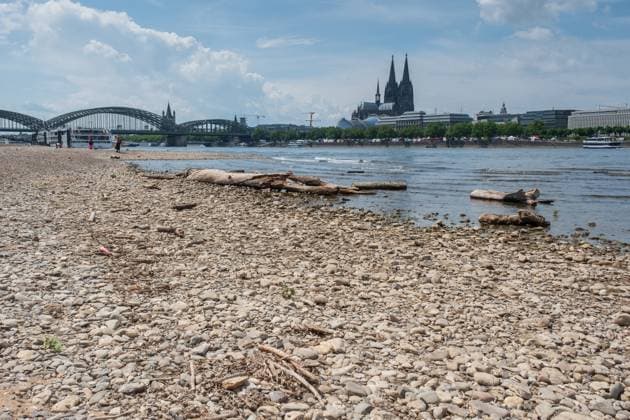 News Themen der Woche KW22 Bilder des Jahres 2025, News 05 Mai News Bilder des Tages Der Rhein bei Köln hat im Mai extremes Niedrigwasser Ð der gesunkene Wasserstand legt Uferbänke frei und verändert das gewohnte Stadtpanorama.