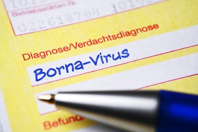 FOTOMONTAGE, Ã„rztlicher Ãœberweisungsschein mit Diagnose Borna-Virus