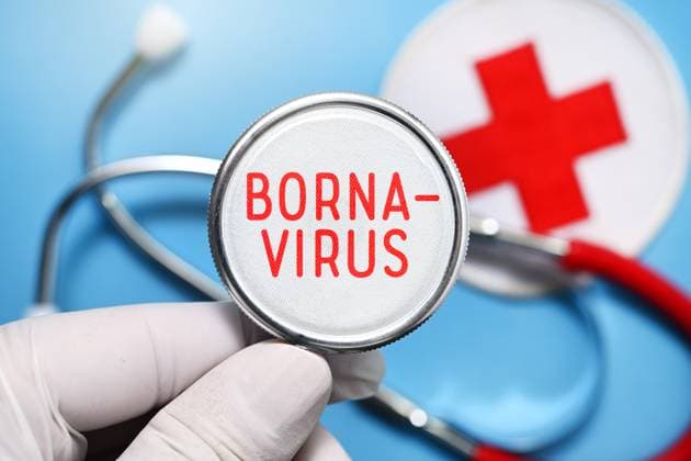 FOTOMONTAGE, Hand hÃ¤lt Stethoskop mit Aufschrift Borna-Virus