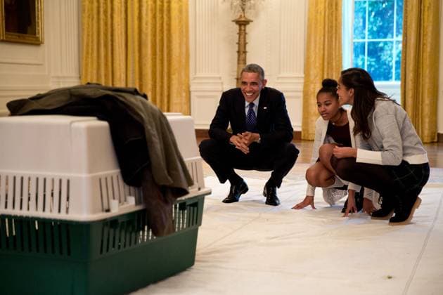 Archives - Barack Obama et ses nombreuses rencontres avec les enfants - Nov. 26, 2014 The President and his daughters Malia and Sasha look at Mac the turkey in the East Room prior to the annual National Thanksgiving Turkey pardon ceremony at the White House. The President pardoned Cheese publicly, though both Mac and Cheese were spared to live out their life at a farm in Ohio. WASHINGTON Etats-Unis Copyright: xPetexSouza ThexWhitexHousexviaxBestimagexPetexSouza ThexWhitexHousexviaxBestimagex