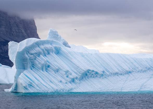 15.08.2025, Nahaufnahme eines Eisbergs im Fjord Nahaufnahme eines Eisbergs im Fjord von Uummannaq.