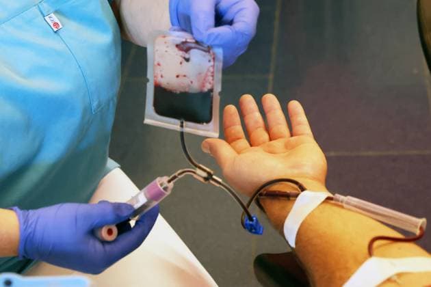 08.09.2025 Sachsen Anhalt Sachsen-Anhalt Halle Saale Blutspende mit Musik im nt Blut spenden