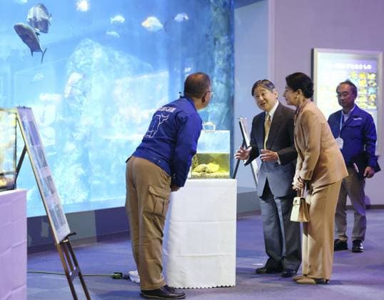 Emperor, empress in Mie Prefecture Japanese Emperor Naruhito (C) and Empress Masako visit Toba Aquarium in Toba, Mie Prefecture, on Nov. 8, 2025. The imperial couple are visiting the central Japan prefecture to attend a fishery industry promotional event ceremony. (Pool photo)  A14AA0005019699P
