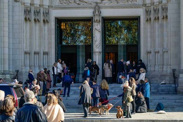 Attendees, including dogs, stand outside the celebration of life ceremony for Dr. Jane Goodall, DBE at the National Cathedral on Wednesday, November 12, 2025 in Washington DC.  WAP20251112917 LeighxVogel
