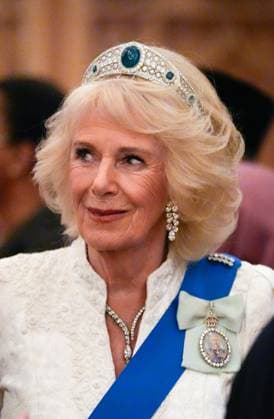 Diplomatic Corps reception at Windsor Castle, UK, 18 November 2025 Queen Camilla during the Diplomatic Corps reception at Windsor Castle, Berkshire. Picture date: Tuesday November 18, 2025., Credit:Andrew Matthews Avalon UK, London  Copyright: xAndrewxMatthewsx xAvalonx 1053184720