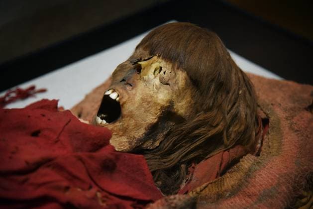 Mummies at the Museum of Mankind - Paris Mummies at the Museum of Mankind (Musee de L Homme). Mummies (Myrithis)during a media preview of the exhibition in Paris, France on November 18, 2025. Photo by Alain Apaydin ABACAPRESS Paris France  Copyright: xApaydinxAlain ABACAx
